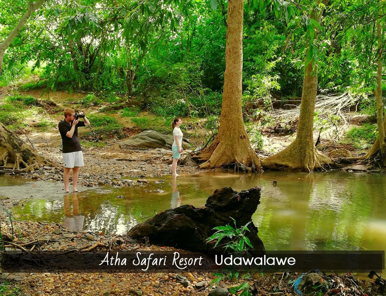 Atha Safari Resort & Riverside Camping Удавалаве Экстерьер фото