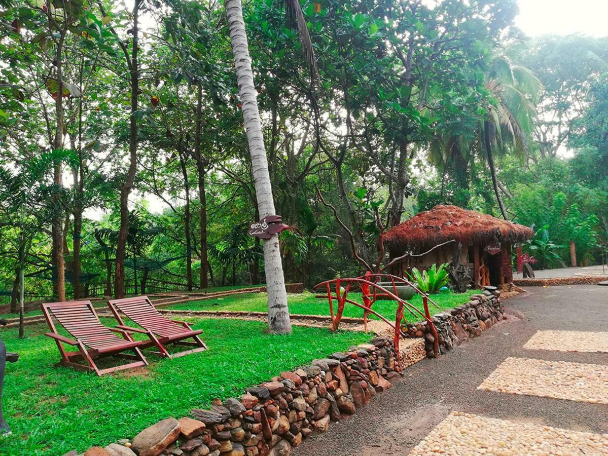 Atha Safari Resort & Riverside Camping Удавалаве Экстерьер фото