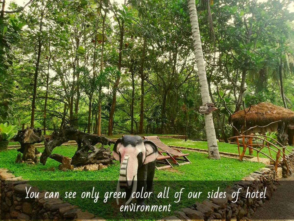 Atha Safari Resort & Riverside Camping Удавалаве Экстерьер фото